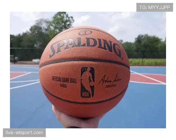 NBA与FIBA篮球比赛中“回场”规则的对比分析与适用场景