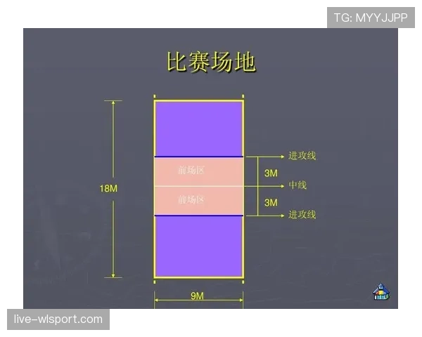 裁判尺度对犯规判罚标准的影响与规则解读